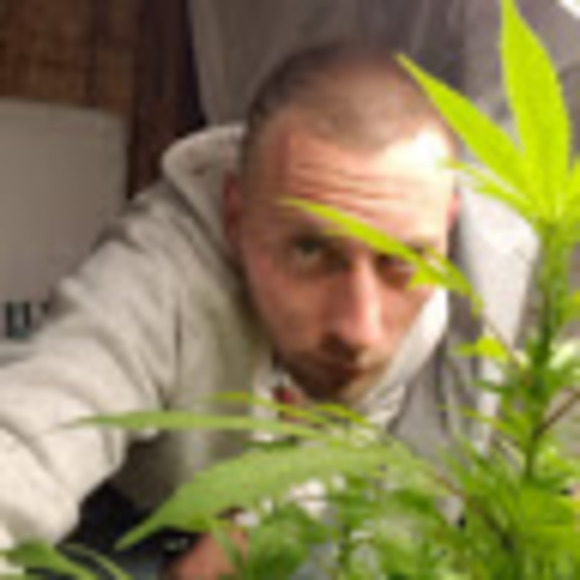 Meet your Posher, Smoke - Picture 1 of 1